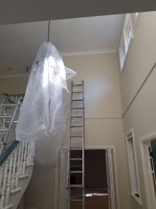 Wahroonga interior painting ceiling
